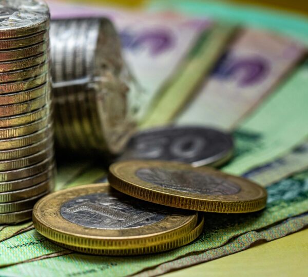 pexels-jaulani7-4912789